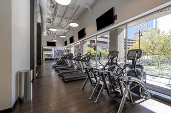 A row of cardio machines 